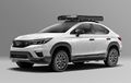 All New Honda City Macho Beraura Crossover Pasang Roof Box Segala