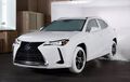 Lexus UX Crossover Mejeng di New York Fashion Week Pakai Sneakers Nike