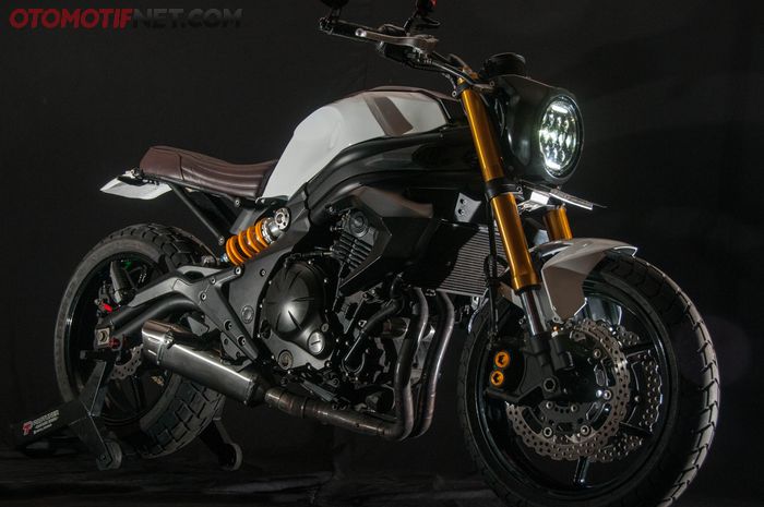 kawasaki er6n custom