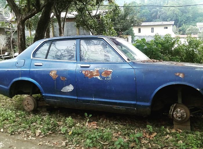 Tampak samping Datsun Violet 160J yang mangkrak di Lumajang, Jawa Timur.