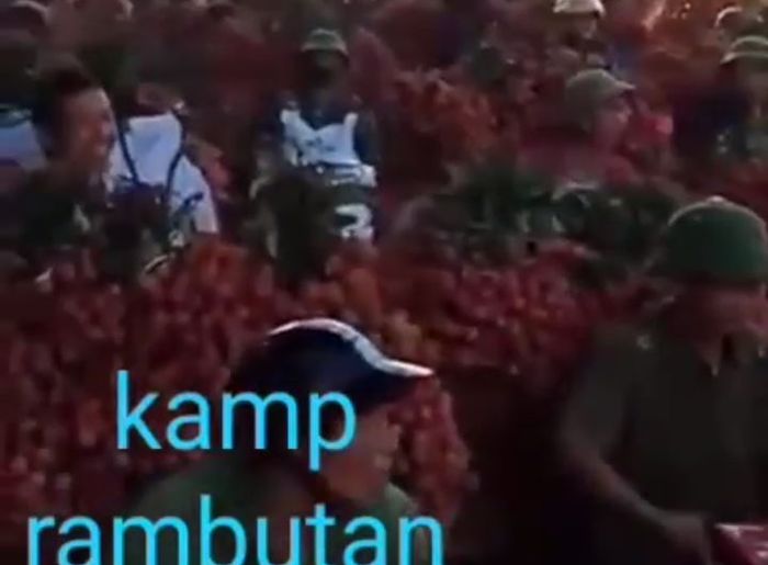 Nih Para petani usai memanen buah leci