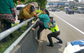 Ini Ibu-ibu Kenapa? Didorong Polisi di Pagar Tol, Eh tahunya..