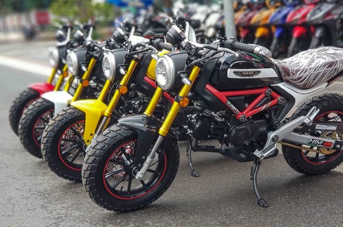Ducati scrambler mini 110cc on sale