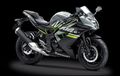 Bos Kawasaki Indonesia Bingung Mereknya Kalah Tenar Dari Ninja, Naked 250 cc Discontinue