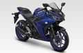 Ternyata Ada Puluhan Ribu Unit Yamaha R25 yang Terkena Recall