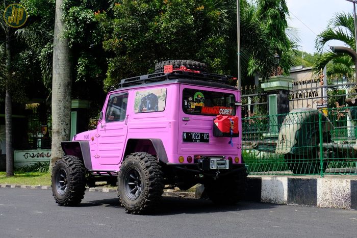 Warna Boleh Imut Seperti Pemiliknya, Tapi Jangkrik Ini Siap Off-Road