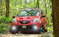 Ala India, Honda Brio Tampil Gaya Racing Look