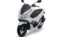 Pemilik All New PCX 150 Komplain CVT 'Gredek', Ini Penjelasan Bengkel Spesialis