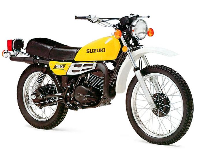 Suzuki TS 100