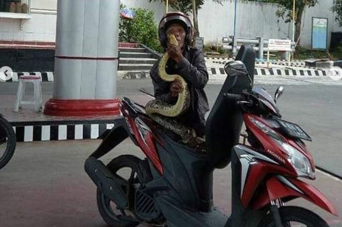Kakek Usil, simpan ular piton di dalam bagasi Honda Vario