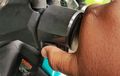 Ini Ciri Relay Starter di Motor Bekas Mulai Rusak Yang Jarang Disadari