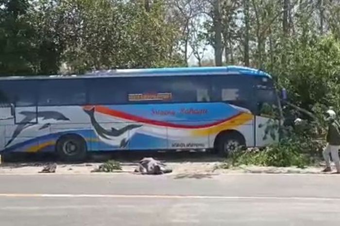 Kondisi bus Sugeng Rahayu usai menabrak Honda Revo dari arah berlawanan dan truk parkir di Saradan, kabupaten Madiun, Jawa Timur