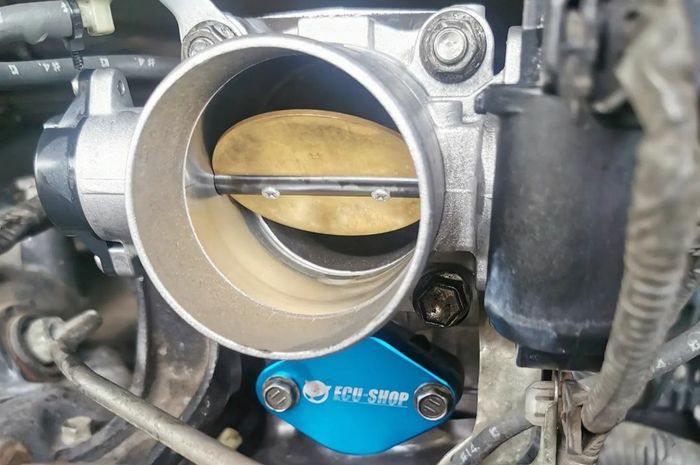 Ikustrasi hrottle body