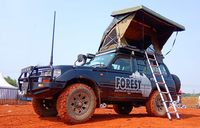 Rooftop Tent Forest