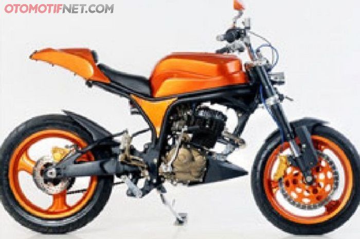 Honda Tiger Street Fighter