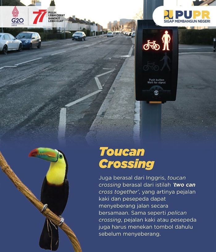 Toucan crossing