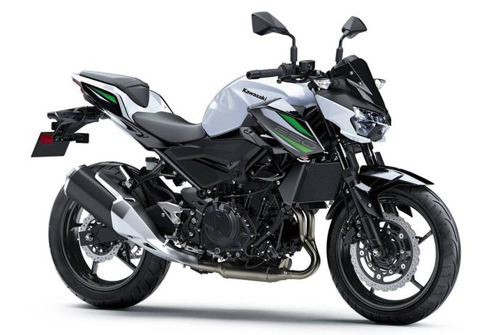 Kawasaki Z250 2019