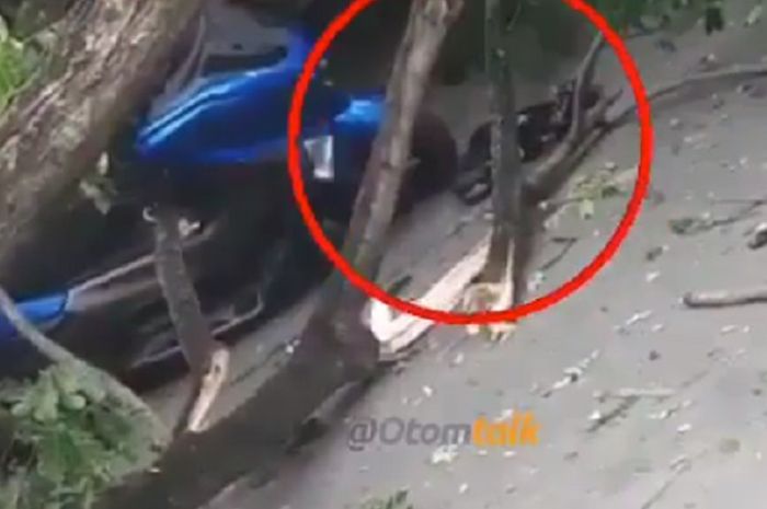 Yamaha NMAX rusak parah tertimpa batang pohon besar di Medan, Sumut.