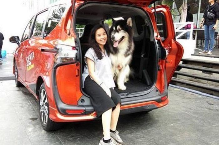 Jalan-jalan bersama hewan peliharaan