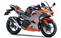 Kawasaki New Ninja 250 Pakai Teknologi Ninja H2, Ada Di Swing Arm