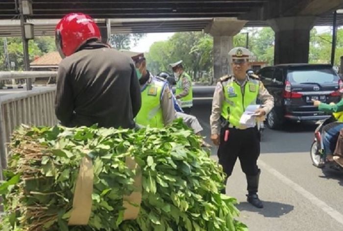 Pemotor membawa barang melebihi kapasitas ditilang polisi di Pasar Minggu, Jaksel pada Kamis (19/9/2019).