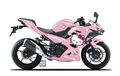 Modifikasi Kawasaki Ninja 250 Jadi Imut, Berbalut Livery Hello Kitty