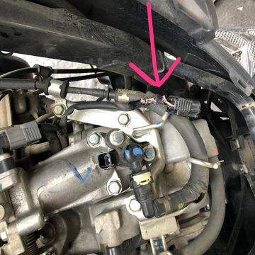 Ternyata Kopi Bubuk Ampuh Mengusir Tikus Dari Motor Begini Caranya Semua Halaman Gridoto Com Ternyata Kopi Bubuk Ampuh Mengusir Tikus Dari Motor Begini Caranya Semua Halaman Gridoto Com