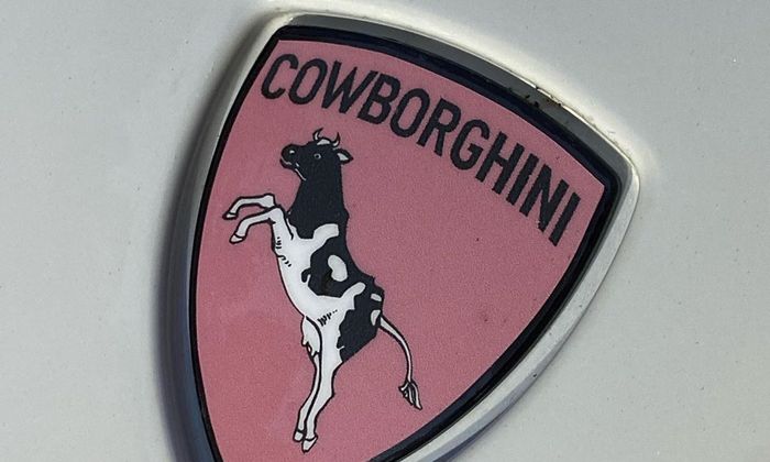 Logo bergambar banteng mengamuk ini diganti oleh seekor sapi 