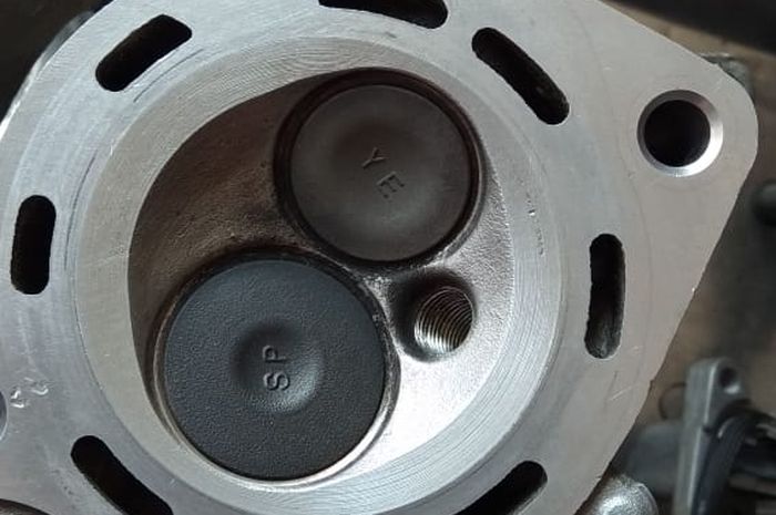 Ilustrasi klep (in/ex)