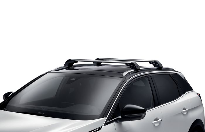 Aksesori Roof Bar Orisinal untuk New Peugeot 3008 SUV