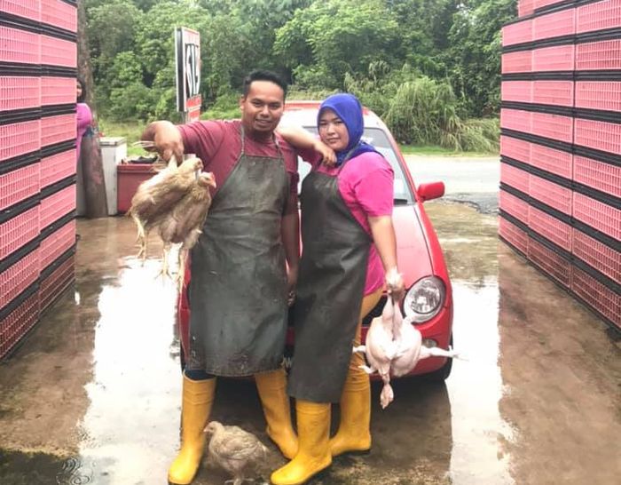 Pasangan suami istri inspiratif, konsisten menjual ayam potong danhasilnya cukup mencengangkan
