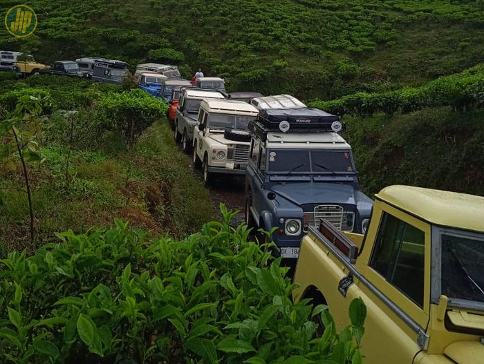 Para kendaraan Series Day Out sedang menikmati rute kebun teh