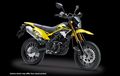 Selain Kawasaki KLX 150 Series, D-Tracker Juga Punya Warna Baru Nih