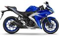 Kalau Ingin Jajan, Berikut Kisaran Harga Aksesori Yamaha R25