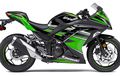 Ada Fenomena Tiap Motor Full Fairing Disebut Ninja, Kawasaki Indonesia Bilang Begini