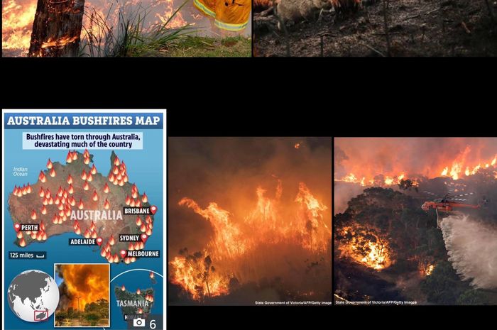 Beberapa wilayah di Australia sedang dilanda kebakaran hutan