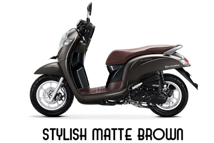 All New Scoopy Stylish Matte Brown