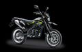 Kawasaki D-Tracker Dapat Warna Baru, Kelir Lama Dihapus?
