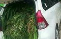 Daihatsu Xenia Dipakai Angkut Rumput, Netizen Komentar Begini