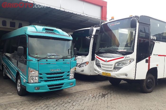 Beragam bus yang dijual di showroom Glourious Mitra Abadi (GMA)