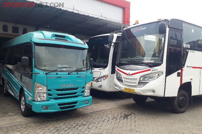 Bus baru dan bus seken yang dijual di showroom Glourious Mitra Abadi (GMA)