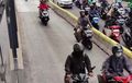 Kumpulan Ngeles Pemotor Terobos Jalur Busway Diungkap Polisi