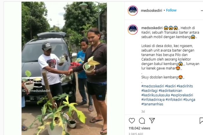 Viral tanaman hias ditukar Toyota Avanza di Kediri, Jawa Timur.