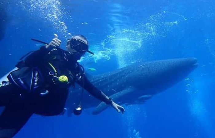 Kukuh Kumara yang sangat mencintai laut Indonesia