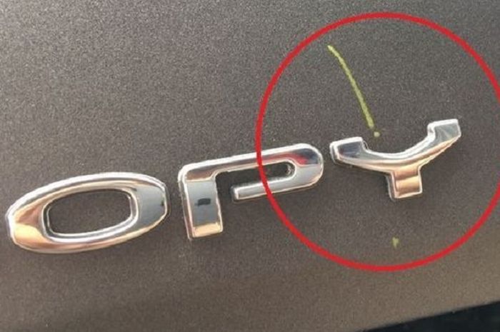 Contoh coretan kapur di bodi motor baru bernama marking chalk