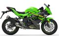 Terkuak, Inilah Tampang Kawasaki Ninja 125 cc, Persis Motor 250 cc Beda Di Mesin
