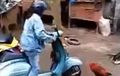 Momen Kocak, Anak Motor Panik Dikejar-Kejar Jago Kandang