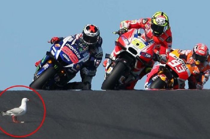 Bahaya mengancam (lingkaran merah) saat balapan berlangsung di MotoGP Australia 2015