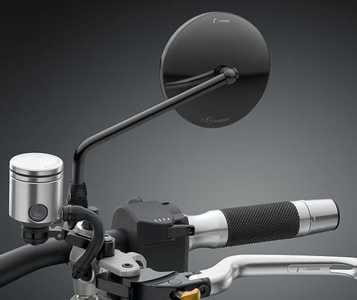 Ilustrasi spion Rizoma 