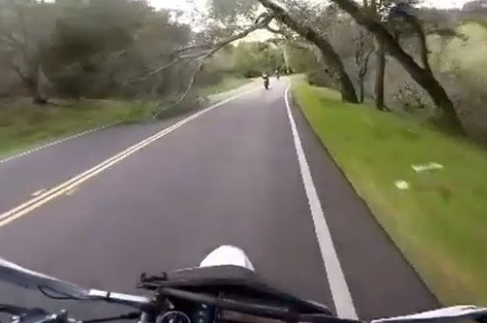 Pohon tumbang di tengah jalan